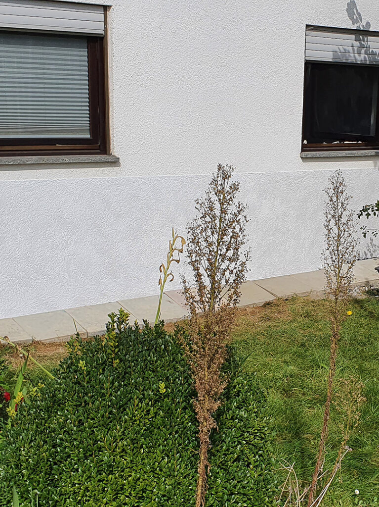 Referenzen 24 kewabo deutschland gmbh oberhausen referenzen